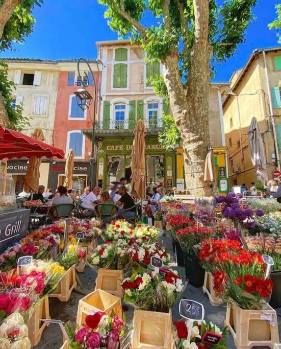 La Loge Familiale: 110M2, Place Rose Goudard, Ac LʼIsle-sur-la-Sorgue Εξωτερικό φωτογραφία